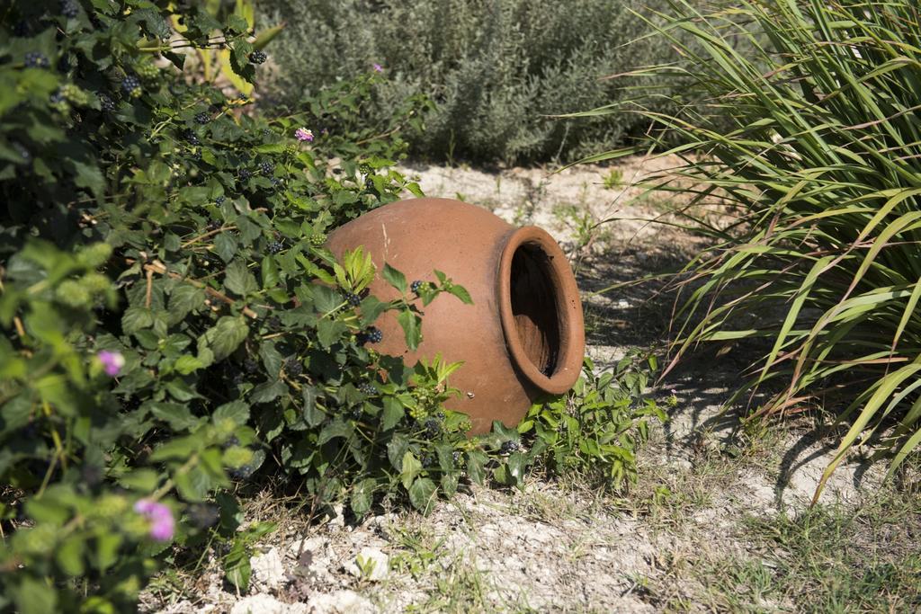 Agrepavli Lapithia Kallepia Exterior foto